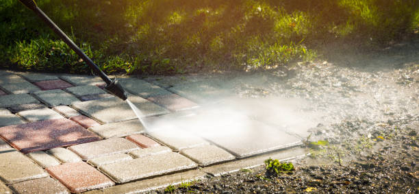 Best Animal Enclosure Cleaning  in Eming Island, FL