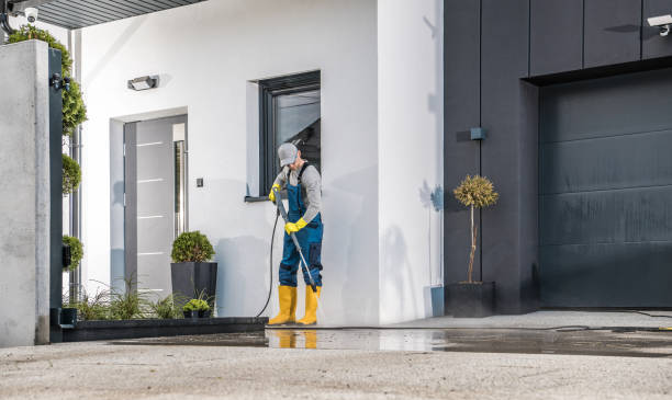 Best Roof Washing  in Eming Island, FL